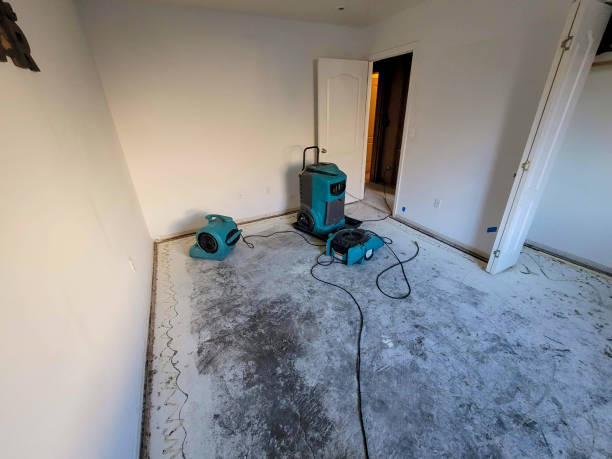 Best Basement water damage restoration  in Shaw, MS