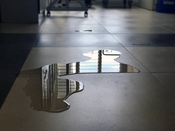 Best Commercial water damage restoration  in Shaw, MS