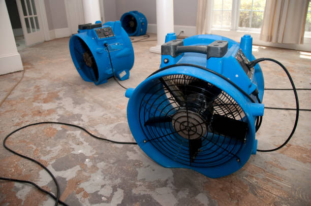 Best Flooded house restoration  in Shaw, MS