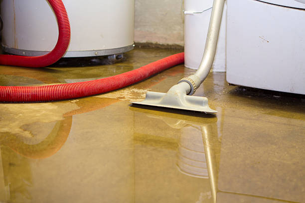 Best Local water damage restoration  in Shaw, MS