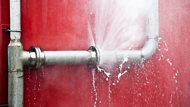 Best Water damage restoration near me  in Shaw, MS