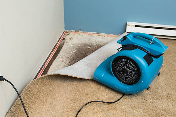 Reliable Shaw, MS Water damage restoration Solutions